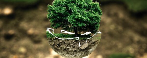 Medioambiente (imagen referencial) - Sputnik Mundo