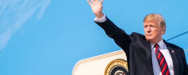 Donald Trump, presidente de EEUU - Sputnik Mundo