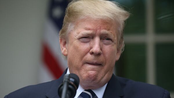 Donald Trump, presidente de EEUU  - Sputnik Mundo