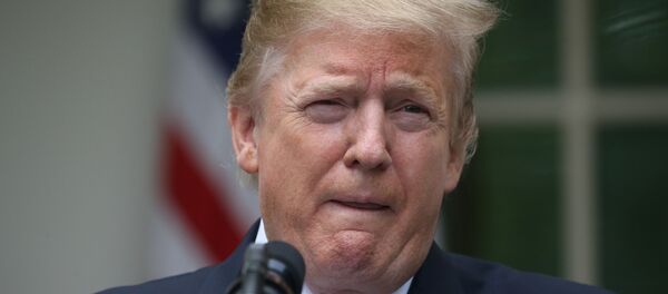 Donald Trump, presidente de EEUU  - Sputnik Mundo