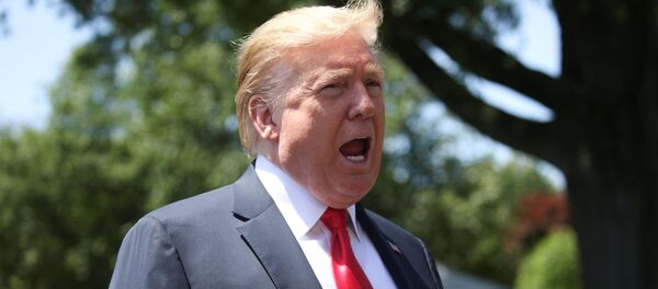 Donald Trump, presidente de EEUU Donald Trump, presidente de EEUU - Sputnik Mundo