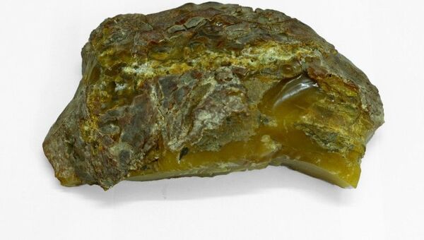 Un ejemplar de ámbar de 1.089 gramos que fue encontrado cerca de Kaliningrado - Sputnik Mundo