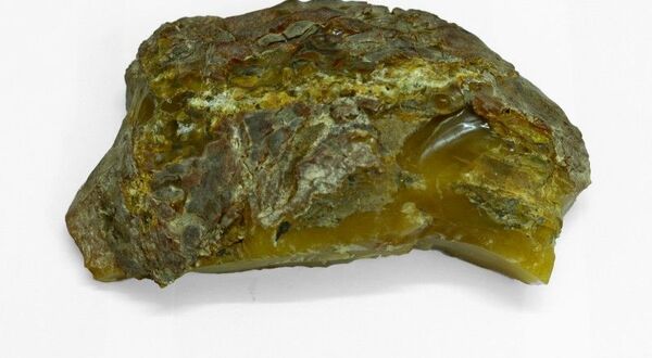 Un ejemplar de ámbar de 1.089 gramos que fue encontrado cerca de Kaliningrado - Sputnik Mundo