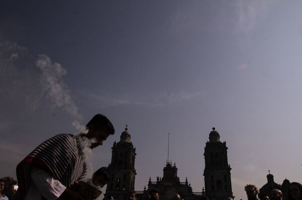 El café de altura de México, un tesoro bien guardado (fotos) - Sputnik Mundo
