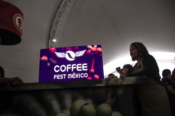 El café de altura de México, un tesoro bien guardado (fotos) - Sputnik Mundo