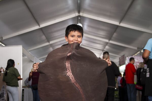 El café de altura de México, un tesoro bien guardado (fotos) - Sputnik Mundo