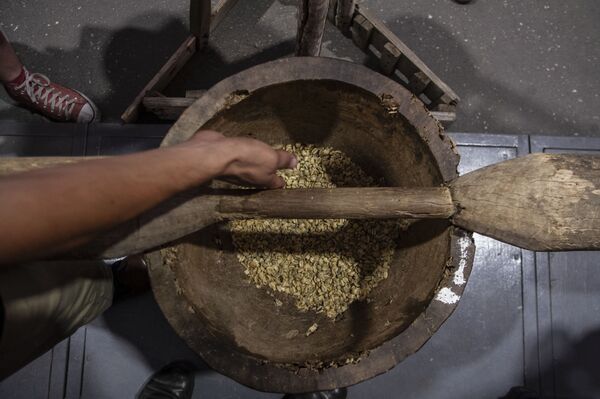 El café de altura de México, un tesoro bien guardado (fotos) - Sputnik Mundo