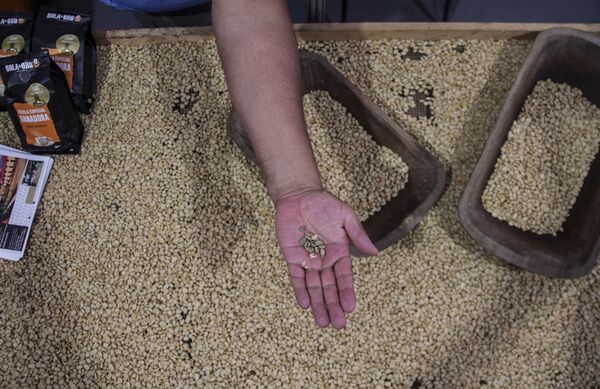 El café de altura de México, un tesoro bien guardado (fotos) - Sputnik Mundo