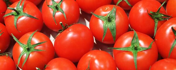 Tomates - Sputnik Mundo