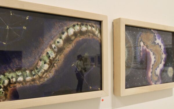 Las obras del artista oaxaqueño Francisco Toledo - Sputnik Mundo