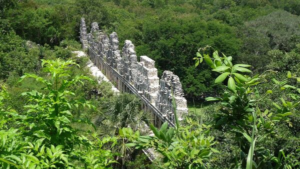 La Selva Maya, en México - Sputnik Mundo