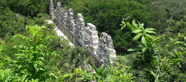 La Selva Maya, en México - Sputnik Mundo