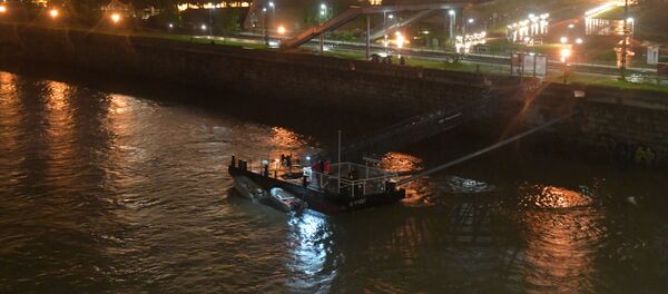 Los rescatistas en el Danubio, en el centro de Budapest - Sputnik Mundo