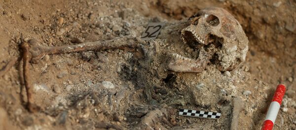 Restos humanos que encontró la Asociación para la Recuperación de la Memoria Histórica en Valladolid, España Restos humanos que encontró la Asociación para la Recuperación de la Memoria Histórica en Valladolid, España - Sputnik Mundo