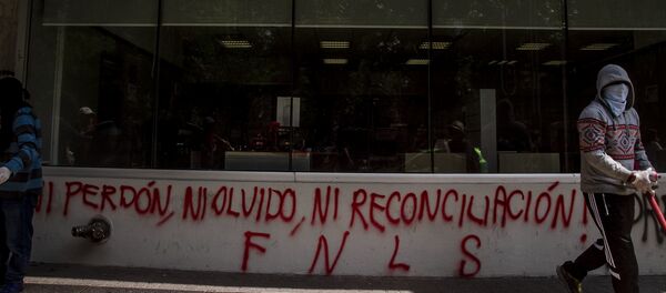 Manifestante durante las actividades de la semana Internacional del Detenido Desaparecido, con la exigencia de justicia tras 12 años de la desaparición forzada de Alberto Cruz Sánchez y Edmundo Reyes Amaya - Sputnik Mundo
