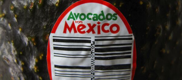 Un aguacate mexicano - Sputnik Mundo