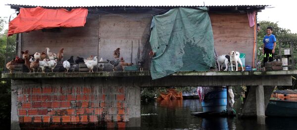 Las inundaciones en Paraguay Las inundaciones en Paraguay - Sputnik Mundo