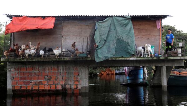 Las inundaciones en Paraguay - Sputnik Mundo