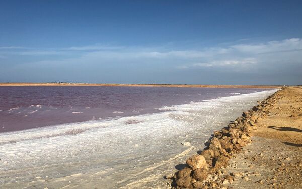 Las salinas rosas de Cumaraguas, en el Estado Falcón, Venezuela - Sputnik Mundo