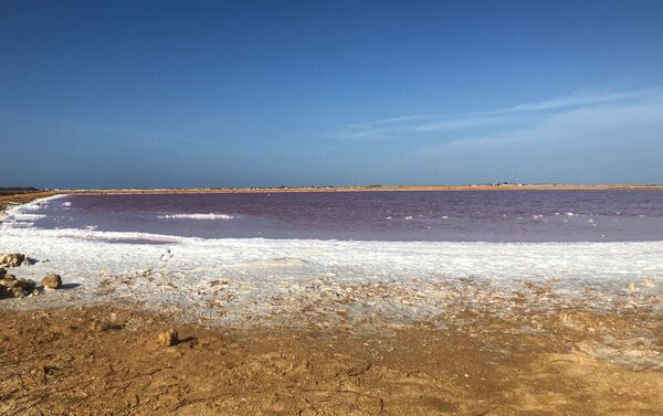 Las salinas rosas de Cumaraguas, en el Estado Falcón, Venezuela - Sputnik Mundo