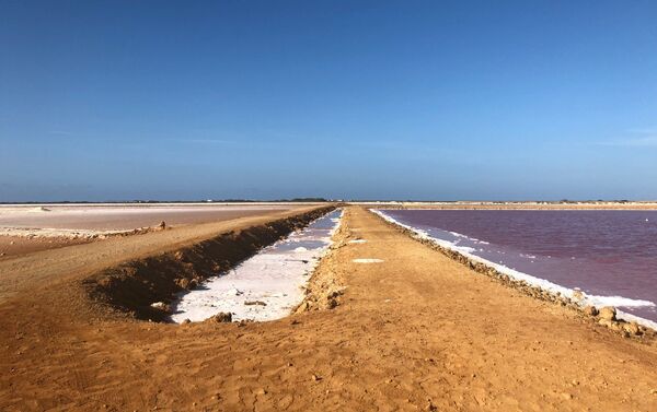 Las salinas rosas de Cumaraguas, en el Estado Falcón, Venezuela - Sputnik Mundo