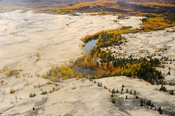 Las arenas de Chara: un desierto en el corazón de Siberia - Sputnik Mundo