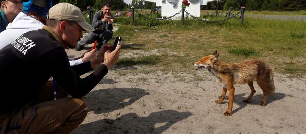 La serie sobre Chernóbil provoca un 'boom' turístico radioactivo - Sputnik Mundo