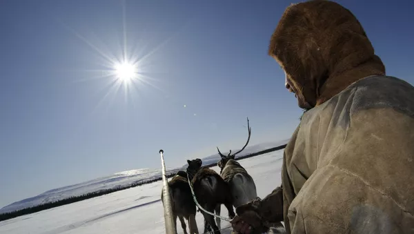 Fiesta de los pueblos del norte de Rusia en el Día del criador de renos