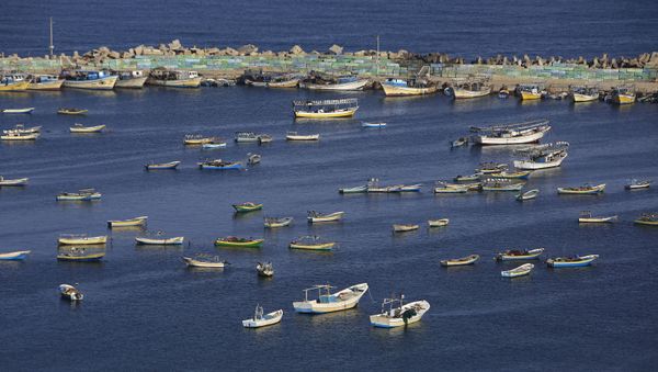 Los barcos de pescadores palestinos en el puerto de Gaza Los barcos de pescadores palestinos en el puerto de Gaza - Sputnik Mundo