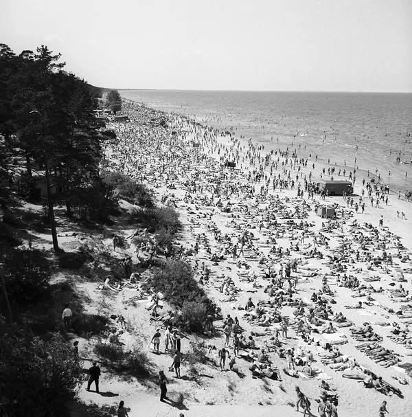 Verano, vacaciones, playa: cómo se relajaba la gente en la URSS
Verano, vacaciones, playa: cómo se relajaba la gente en la URSS
- Sputnik Mundo