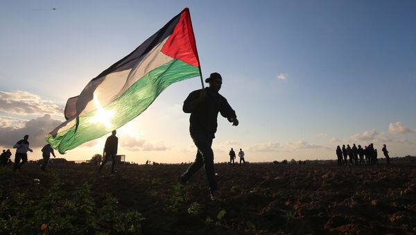 Bandera de Palestina - Sputnik Mundo