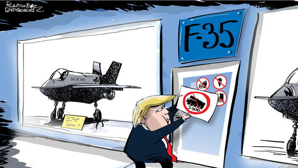 Los S-400 rusos y F-35 estadounidenses no pueden convivir Los S-400 rusos y F-35 estadounidenses no pueden convivir - Sputnik Mundo