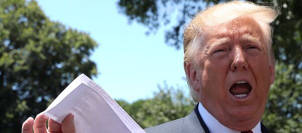 Donald Trump, presidente de EEUU - Sputnik Mundo