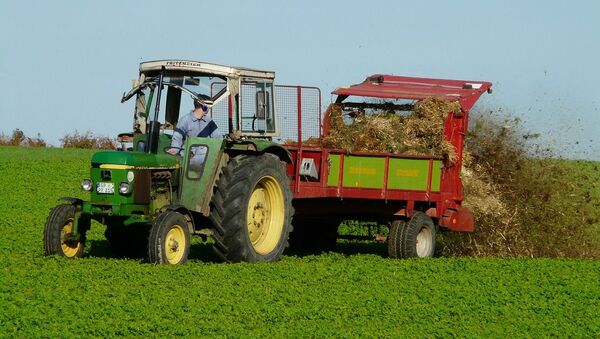 Una campo agrícola (imagen referencial) - Sputnik Mundo