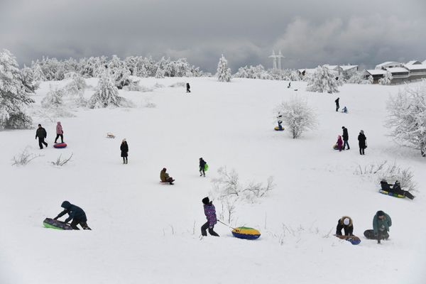 'La guardia costera' y 'La copa de la tundra': los finalistas del Concurso de Fotoperiodismo Andréi Stenin
 - Sputnik Mundo