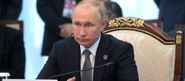 Vladímir Putin, presidente de Rusia Vladímir Putin, presidente de Rusia - Sputnik Mundo