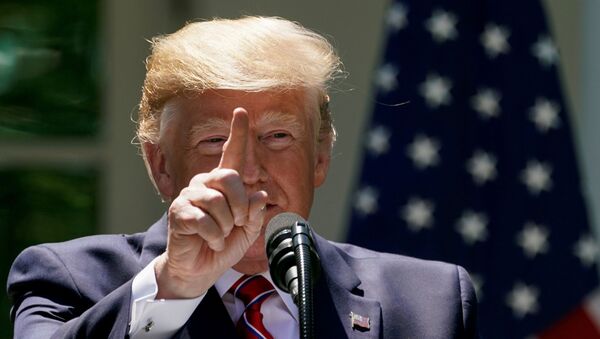 El presidente de EEUU, Donald Trump - Sputnik Mundo