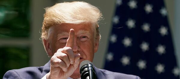 El presidente de EEUU, Donald Trump - Sputnik Mundo