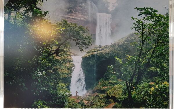 Una foto del Amazonas en la exposición en Moscú - Sputnik Mundo