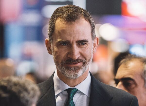 Cinco años en el trono: así es la vida de Felipe VI, el rey de España

 - Sputnik Mundo