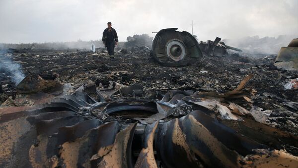 Siniestro del avión de Malaysia Airlines Boeing 777 (archivo) - Sputnik Mundo