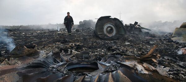Siniestro del avión de Malaysia Airlines Boeing 777 (archivo) - Sputnik Mundo