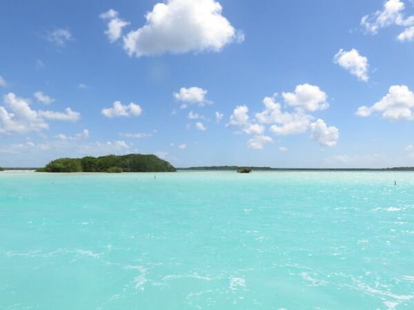 Estromatolitos, el organismo más antiguo del planeta que corre riesgo de muerte en México (fotos) - Sputnik Mundo