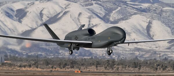 Dron de EEUU Global Hawk - Sputnik Mundo
