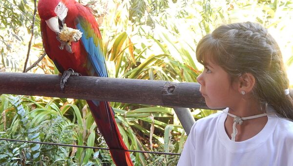 Visita del grupo rochense Tras las huellas del venado al Bioparque Temaikèn, en Buenos Aires, Argentina - Sputnik Mundo