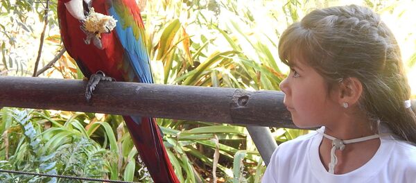 Visita del grupo rochense Tras las huellas del venado al Bioparque Temaikèn, en Buenos Aires, Argentina - Sputnik Mundo