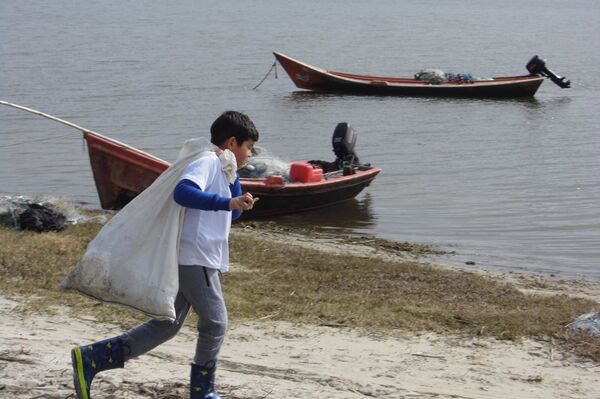 El privilegio del venado, o cómo ser niño y cambiar el mundo - Sputnik Mundo