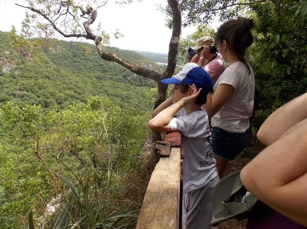 El privilegio del venado, o cómo ser niño y cambiar el mundo - Sputnik Mundo