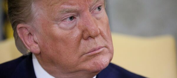 Donald Trump, el presidente de EEUU - Sputnik Mundo