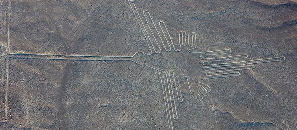 Vista aérea del 'colibrí', uno de los geoglifos más conocidos de las Líneas de Nazca - Sputnik Mundo